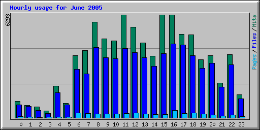Hourly usage for June 2005