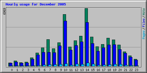 Hourly usage for December 2005