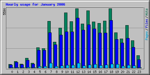 Hourly usage for January 2006